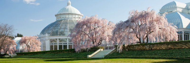 One of the most beautiful hearing loss-friendly gardens is the New York Botanical Gardens in Bronx, NY.