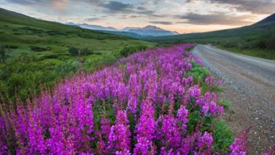 One of the hearing loss-friendly national parks on our list is Denali National Park & Preserve in Alaska