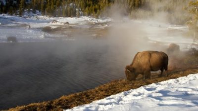 One of the hearing loss-friendly national parks on our list is Yellowstone National Park in Idaho, Montana and Wyoming