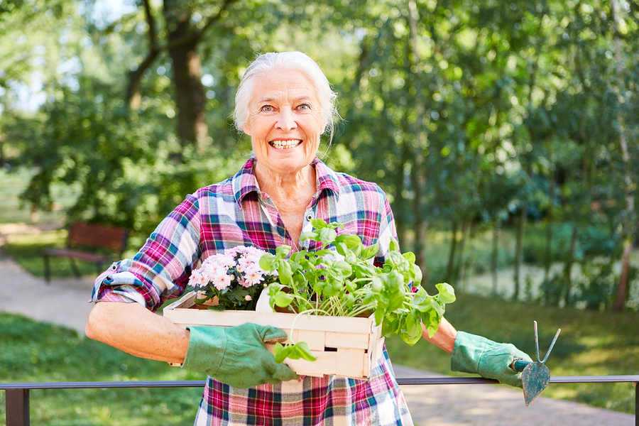 This article contains helpful hints on how to plant an herb garden.