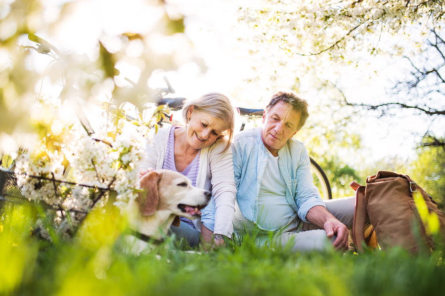 Learn how to protect your hearing aids in spring here.