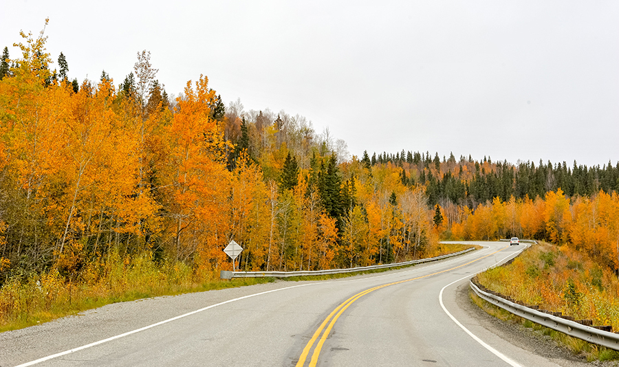 Research ahead of your fall foliage road trip to ensure the leaves will be at their brightest in your area.