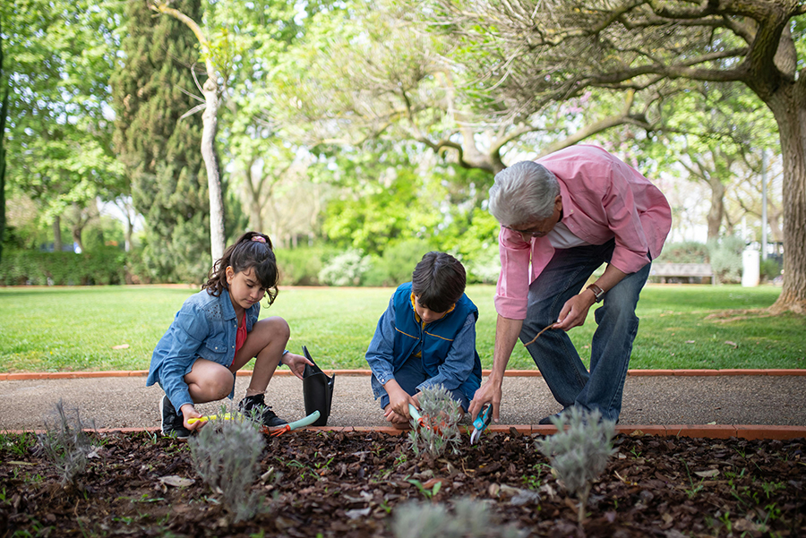 Planting seeds in egg cartons is a great beginner gardening project with kids.