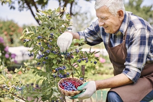 A person engaging in healthy hobbies that promote physical and mental fitness.