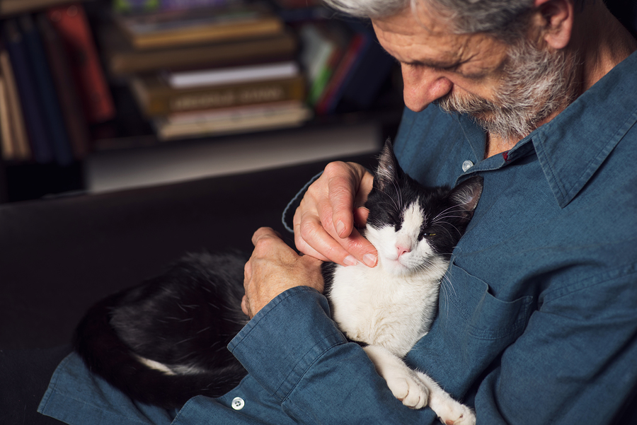 A senior man sitting on a park bench with his loyal dog by his side