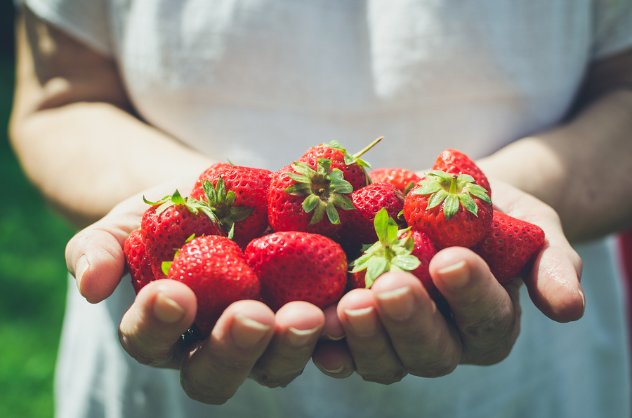 A variety of cancer-preventing foods to add to your grocery list for healthy eating.