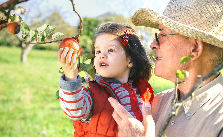 Fall activities for grandkids and family fun to enjoy together.