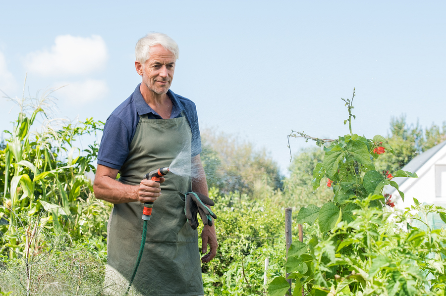 Image of a senior woman happily gardening in her backyard