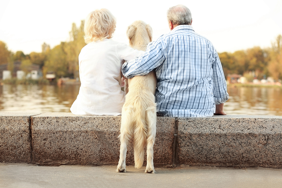 A senior woman sitting on a couch with a small dog on her lap