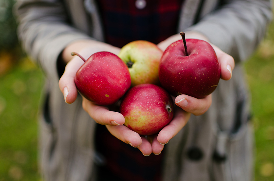 A variety of delicious and healthy apple recipes perfect for the fall season.