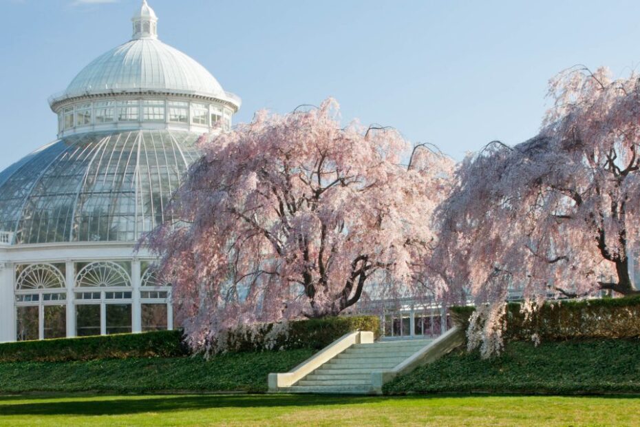 A garden designed with accessibility in mind for individuals with hearing loss