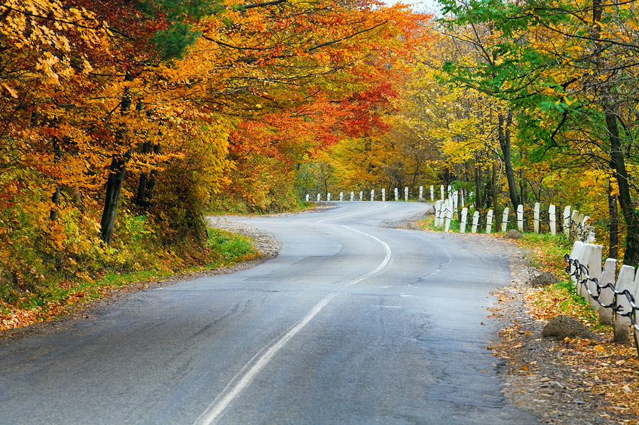 A selection of travel destinations that are hearing loss friendly and perfect for fall vacations.