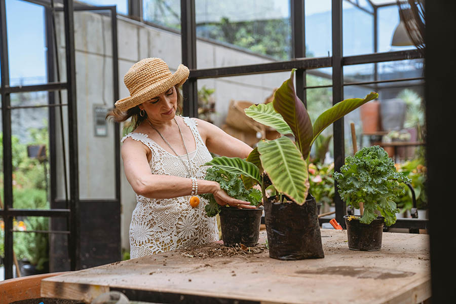 If you’re curious about trying some easy winter planting and garden preparation for spring, start with some seeds and easy-to-care-for herbs.